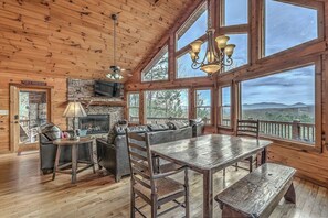 TV, fireplace, books