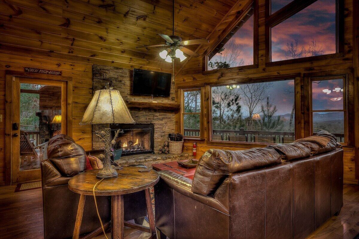 TV, fireplace, books