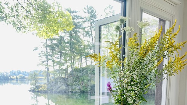 A table with a bowl of bananas, a bowl of cherries, a plate of scones, and a vase of flowers by a window overlooking a lake. - Cozy Lakefront Getaway in South Frontenac, Rustic & Elegant, Highspeed Internet (Battersea)