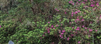 Tallahassee Family Retreat - close to FSU!