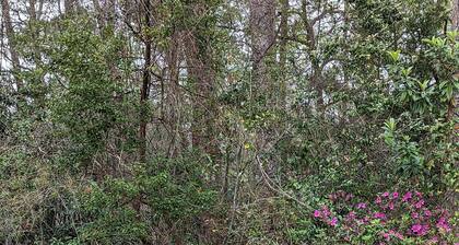 Tallahassee Family Retreat - close to FSU!