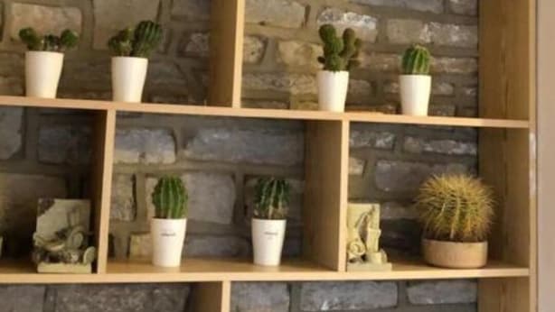 Un mur de pierre agrémenté d’étagères en bois où sont disposées différentes plantes en pot.