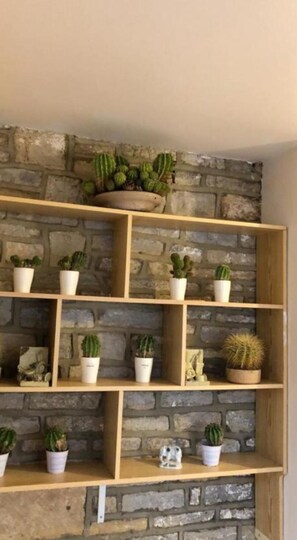 A stone wall with wooden shelves holding various potted plants.