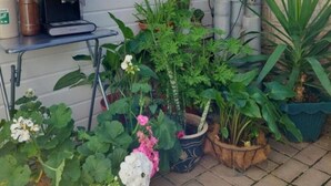 Un petit espace patio avec une machine à café, diverses plantes en pot et une clôture en bois.