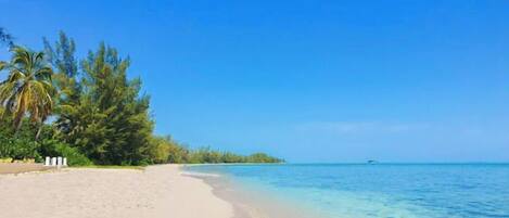 In Strandnähe, Liegestühle, Strandtücher