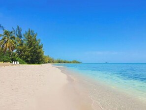 A beach with clear turquoise water, sandy shore, and lush greenery. - A Hidden Gem (Nassau, Bahamas)
