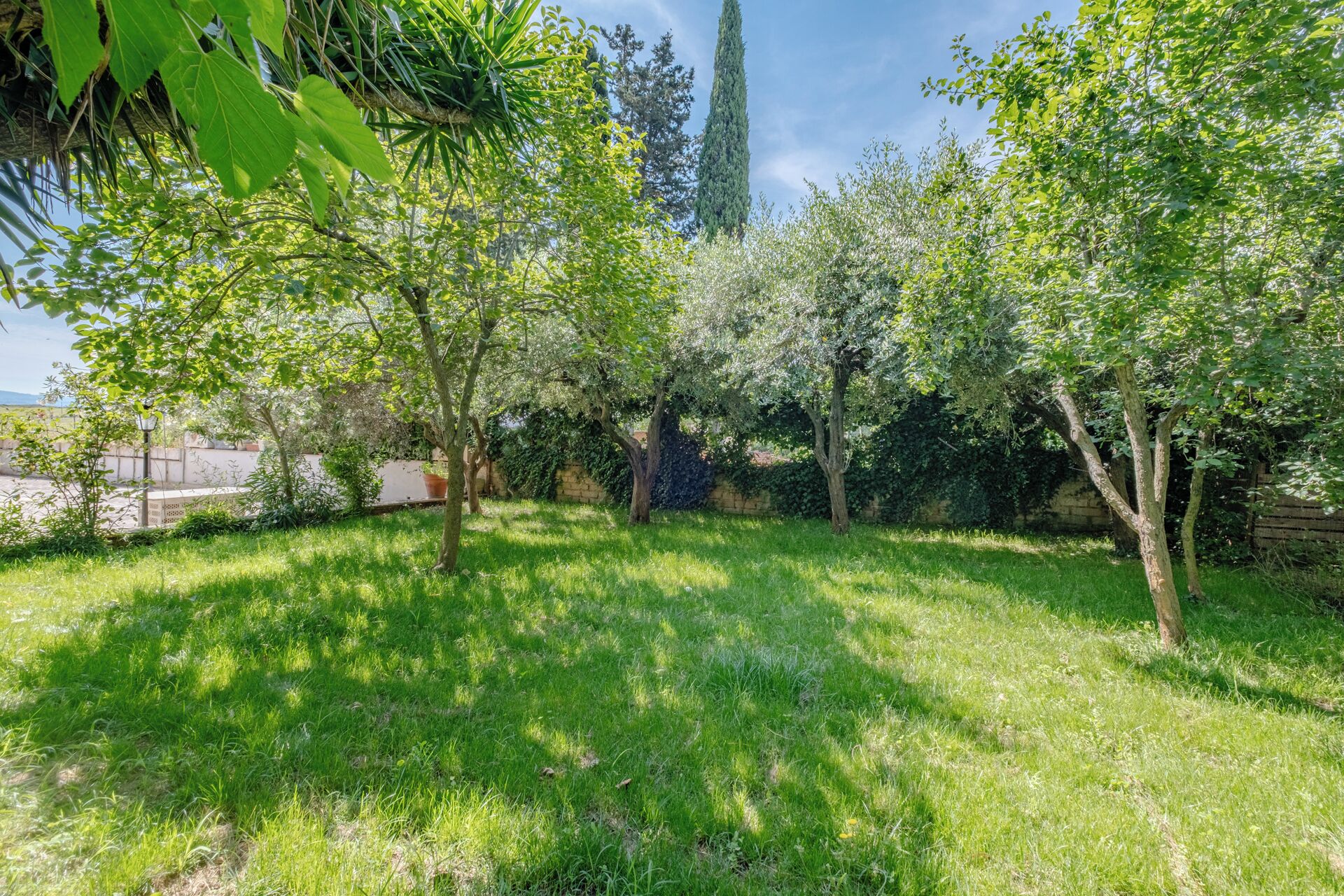 Parco della struttura