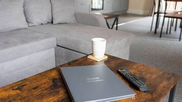 A modern living room with a grey sofa, a wooden coffee table with a remote control and a book titled "Guest Information".