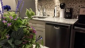 Une cuisine dotée d’un plan de travail en granit, d’appareils électroménagers en acier inoxydable et d’un pare-feu avec un motif moucheté.