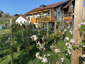 Property grounds - Vacation apartment Lindau on Lake Constance - south-facing balcony, parking space with wallbox & bike room (Lindau (Bodensee))