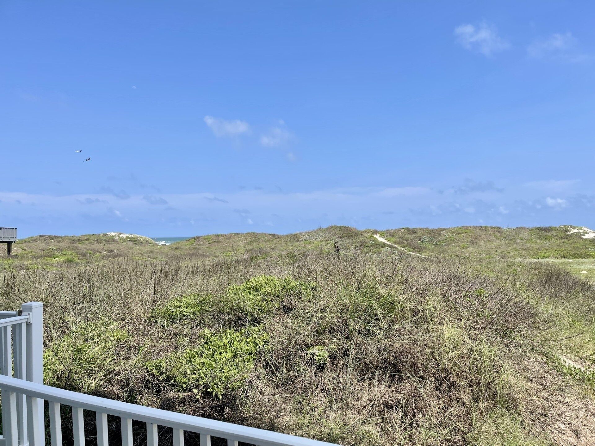 A coastal landscape with a wooden deck overlooking a beach and dunes.