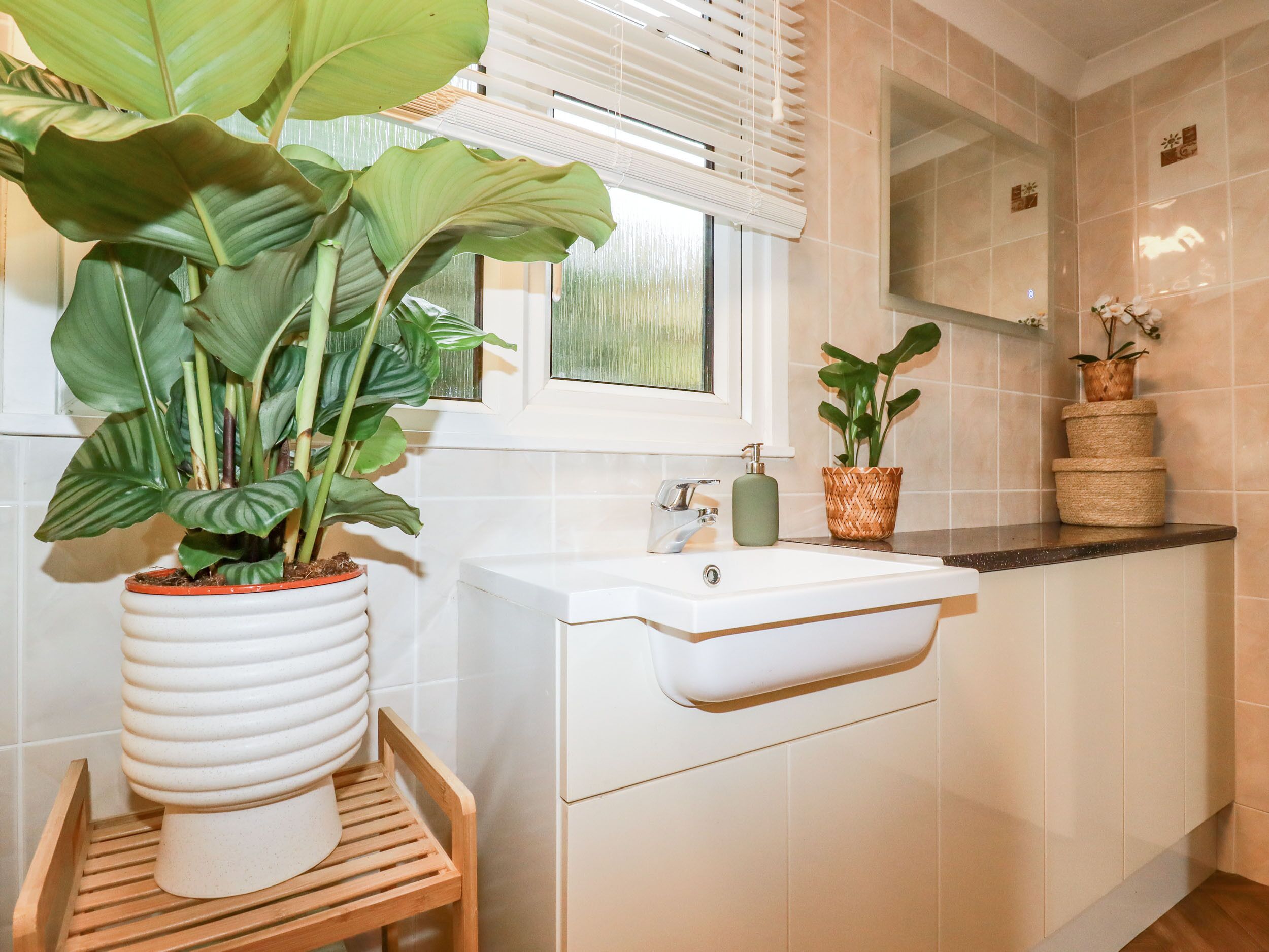 Un baño moderno con un lavabo blanco, un banco de madera y plantas en macetas.