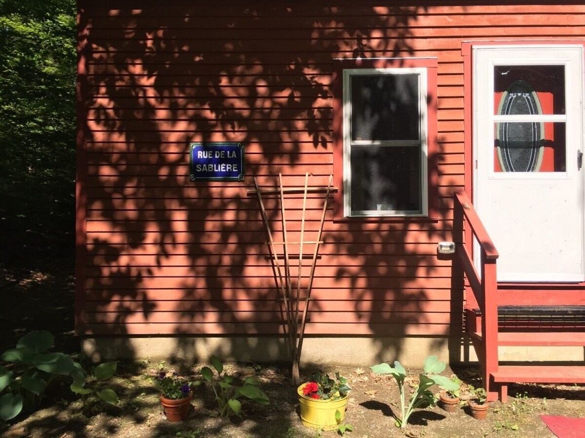 Imagen de perfil del propietario o de la propietaria