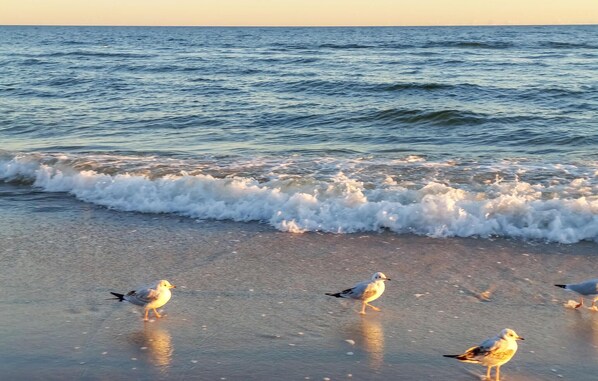 Beach nearby