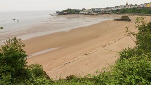 A beach with a pier extending into the water, surrounded by colorful buildings and greenery. - Clementine Cottage (Tenby)