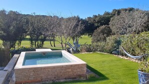 Une piscine rectangulaire bordée de pierres, entourée d’une pelouse bien entretenue et de divers arbustes.