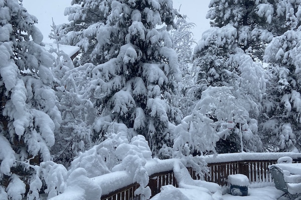 Àrea exterior de l'allotjament