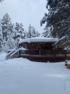 Exterior - Private Nature Getaway in the Pines (Flagstaff)