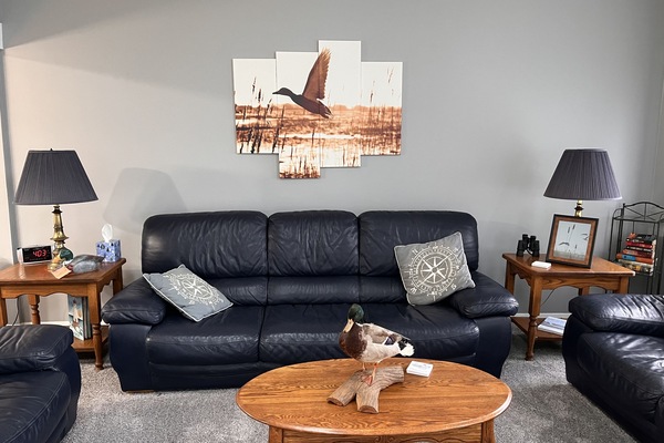 Téléviseur, livres