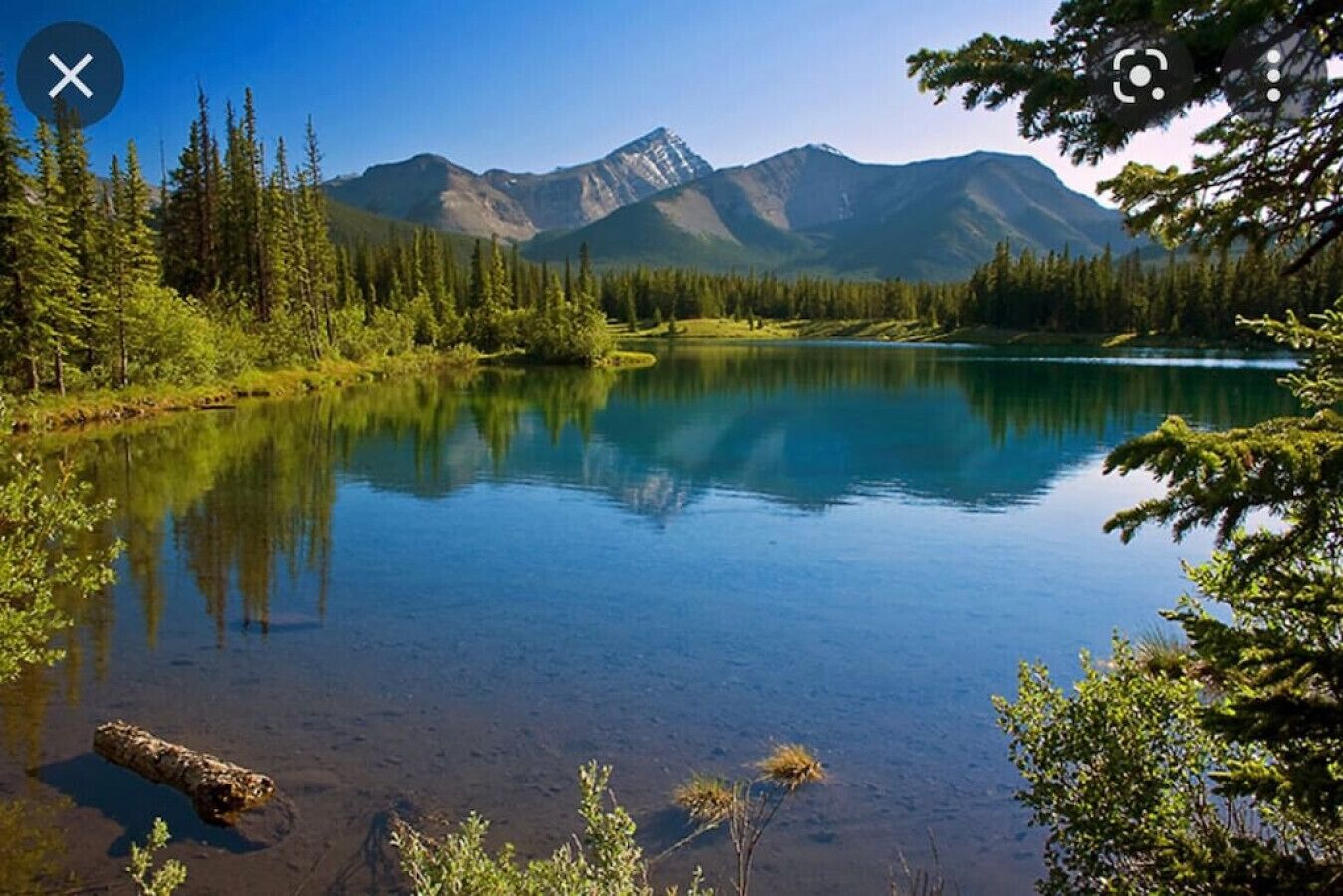 Un lago tranquilo rodeado de un bosque denso y montañas.