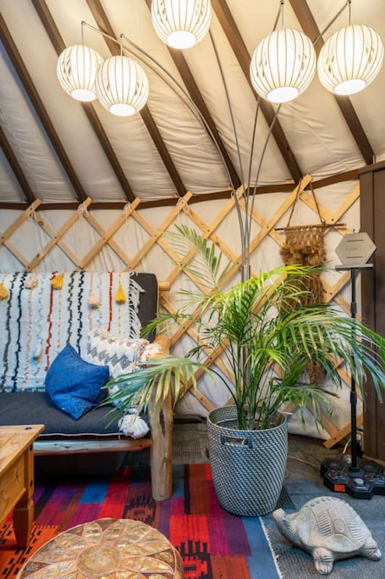 A cozy interior with a wooden ceiling, a sofa with cushions, a large potted plant, and hanging light fixtures.