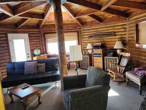 TV, fireplace, DVD player, books