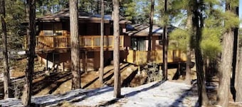 The Cabin in the Pines