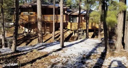 The Cabin in the Pines