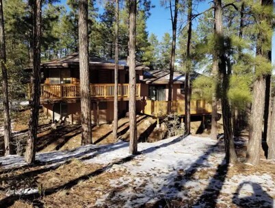 The Cabin in the Pines