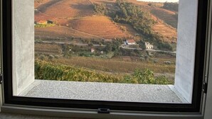 A window with a view of terraced vineyards and a few buildings in the distance. - Detached house in the Douro with stunning river and mountain views (Mesão Frio)