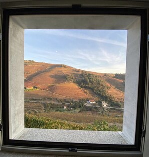 Ein Fenster mit Blick auf terrassenförmig angelegte Weinberge und einige Gebäude in der Ferne.