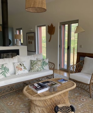 Smart TV, fireplace, books, stereo