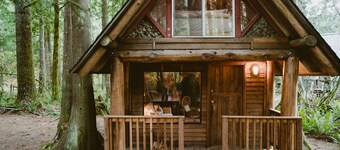 Wild Lily Cabin Retreat