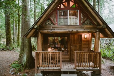 Wild Lily Cabin Retreat