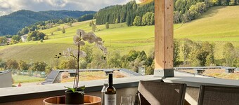 Wonderful ski in-ski out lodge