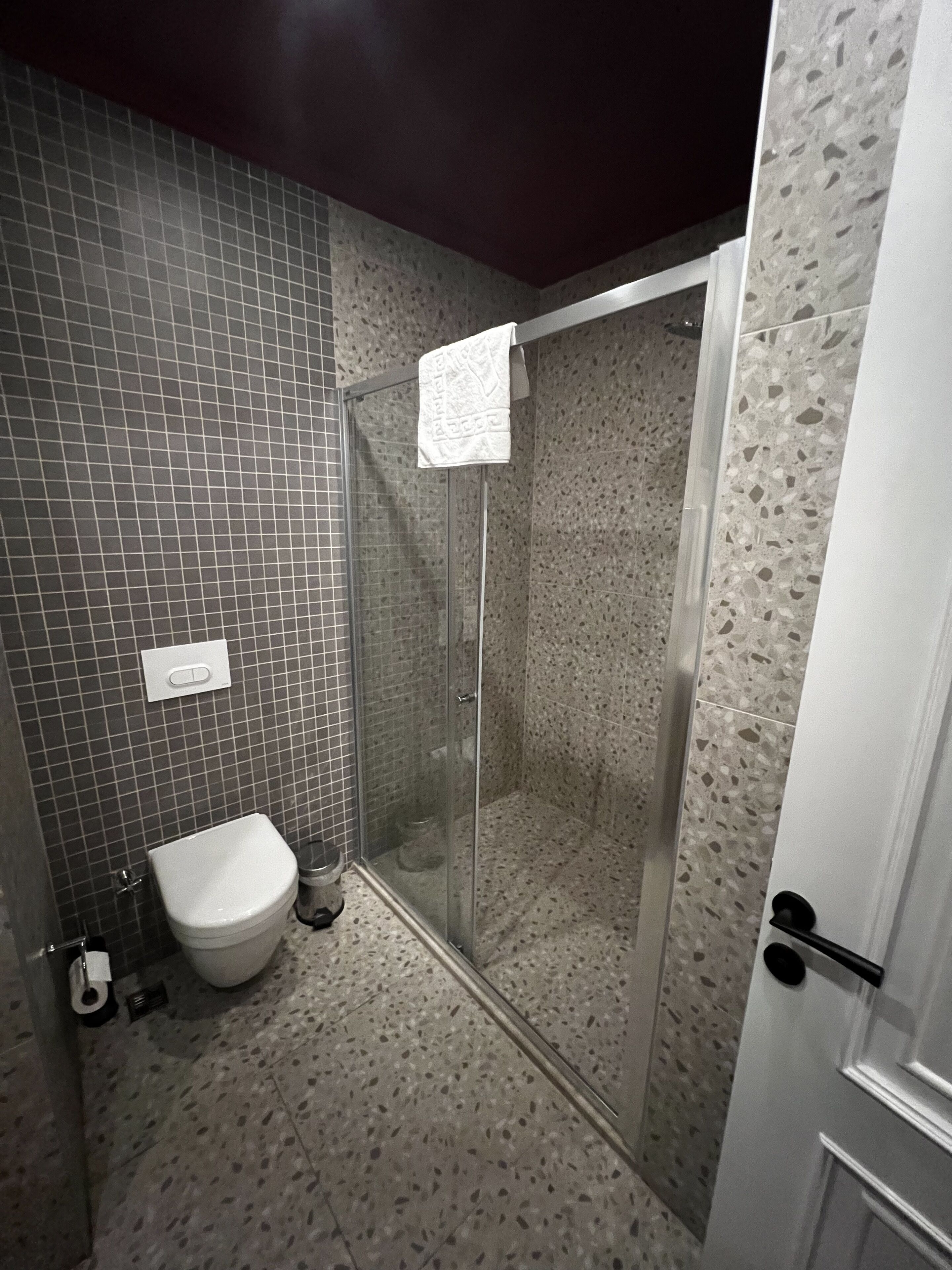 A bathroom with a toilet, a shower with a glass door, and a tiled wall.