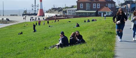A grassy area with people sitting and walking, a lighthouse, and a building with a red roof.
