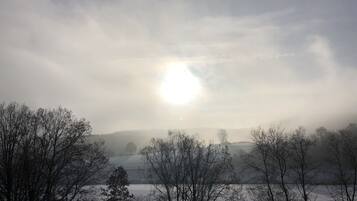 Un paysage brumeux avec des arbres et une étendue d’eau.