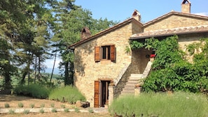 A stone house with a wooden door and shutters, surrounded by greenery and trees. - Casale Mollina 6 2 (Anghiari)