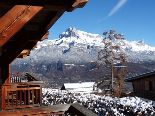 Appartement F4 dans chalet face au Mont Blanc (animaux non acceptés)
