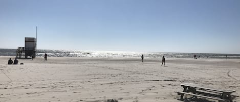 Una playa cerca