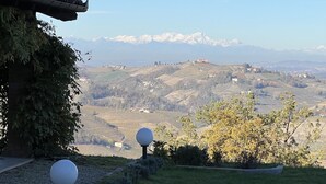 A view of a vineyard with houses on rolling hills and a mountain range in the background.