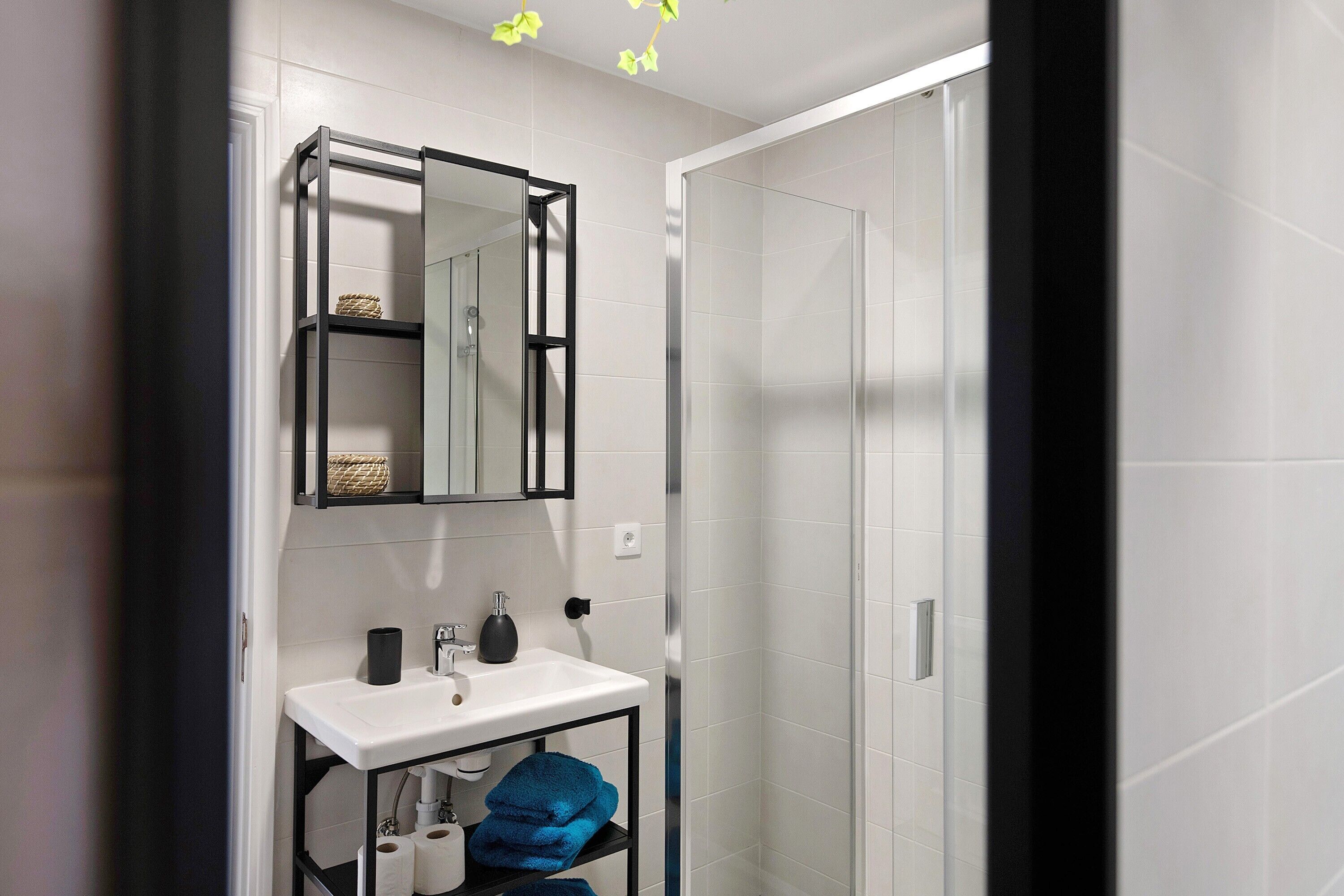 Shower, hair dryer, towels