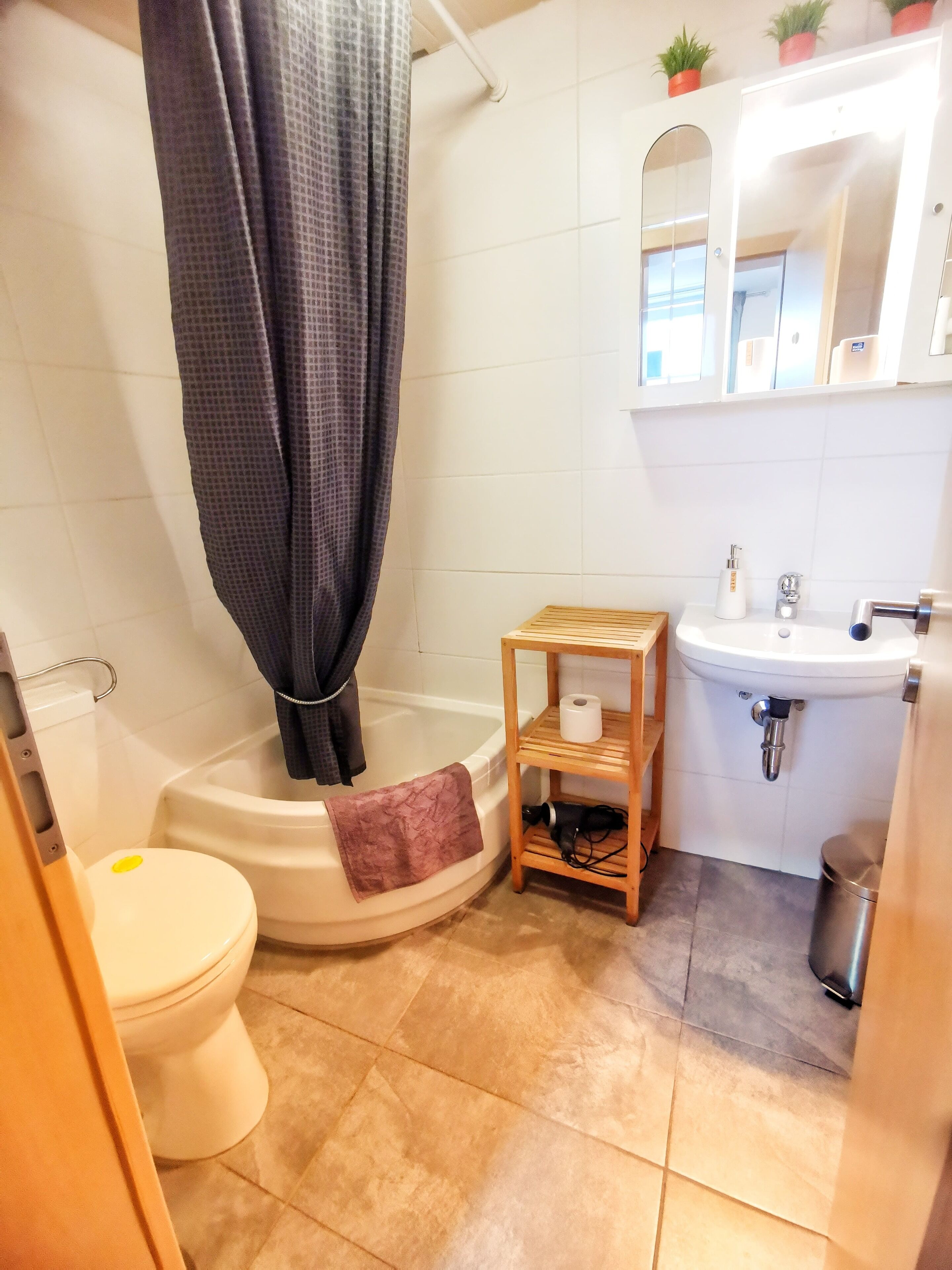 Shower, hair dryer, soap, toilet paper