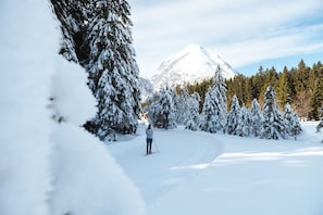 Snow and ski sports