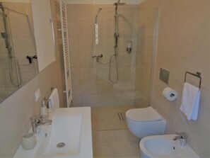 Regadera, secadora de cabello, bidet, toallas