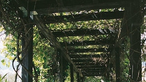 A covered pathway with wooden posts and climbing plants, leading to a garden area.