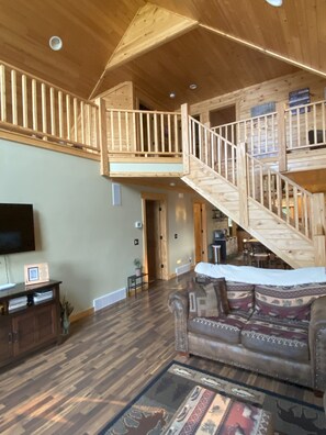 TV, fireplace, DVD player, books