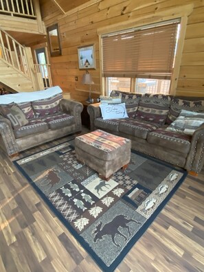 TV, fireplace, DVD player, books