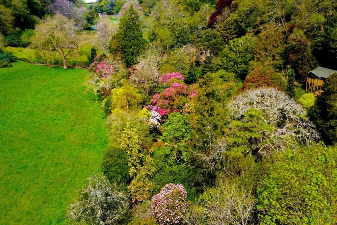 A lush garden with a variety of trees and shrubs, a well-maintained lawn, and a small building in the background.